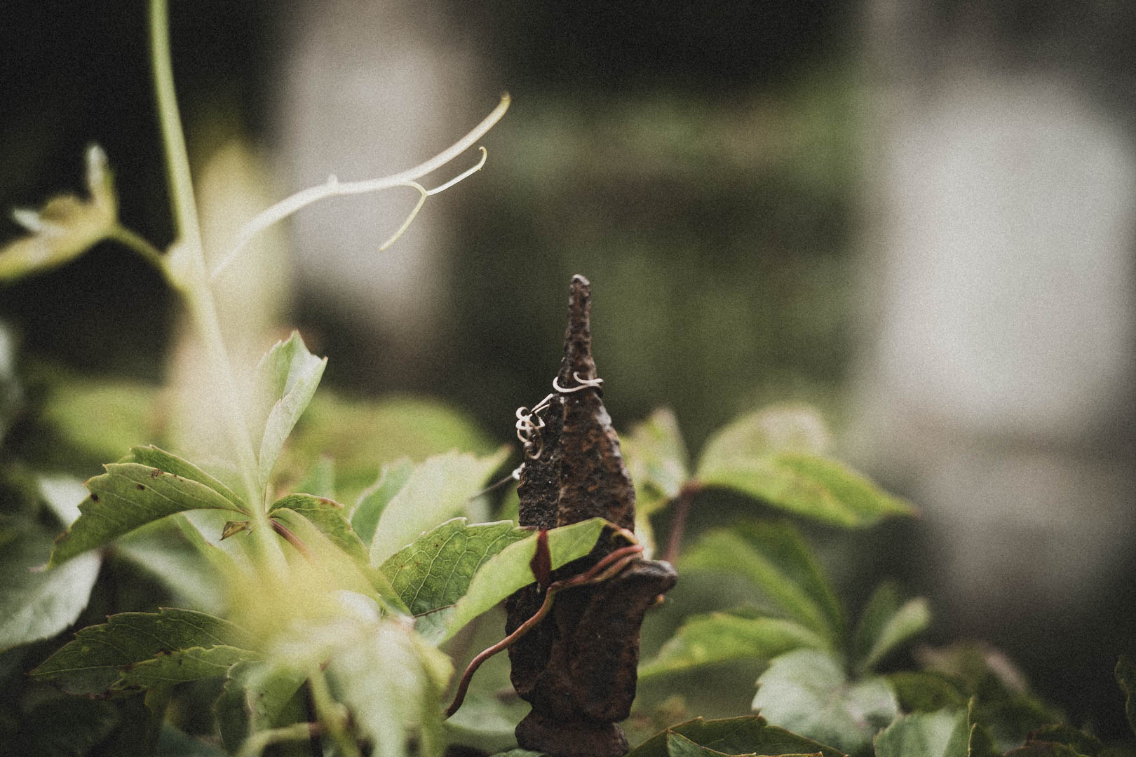 Lügde, Jüdischer Friedhof